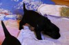 o-wurf_2-3_hp (6)